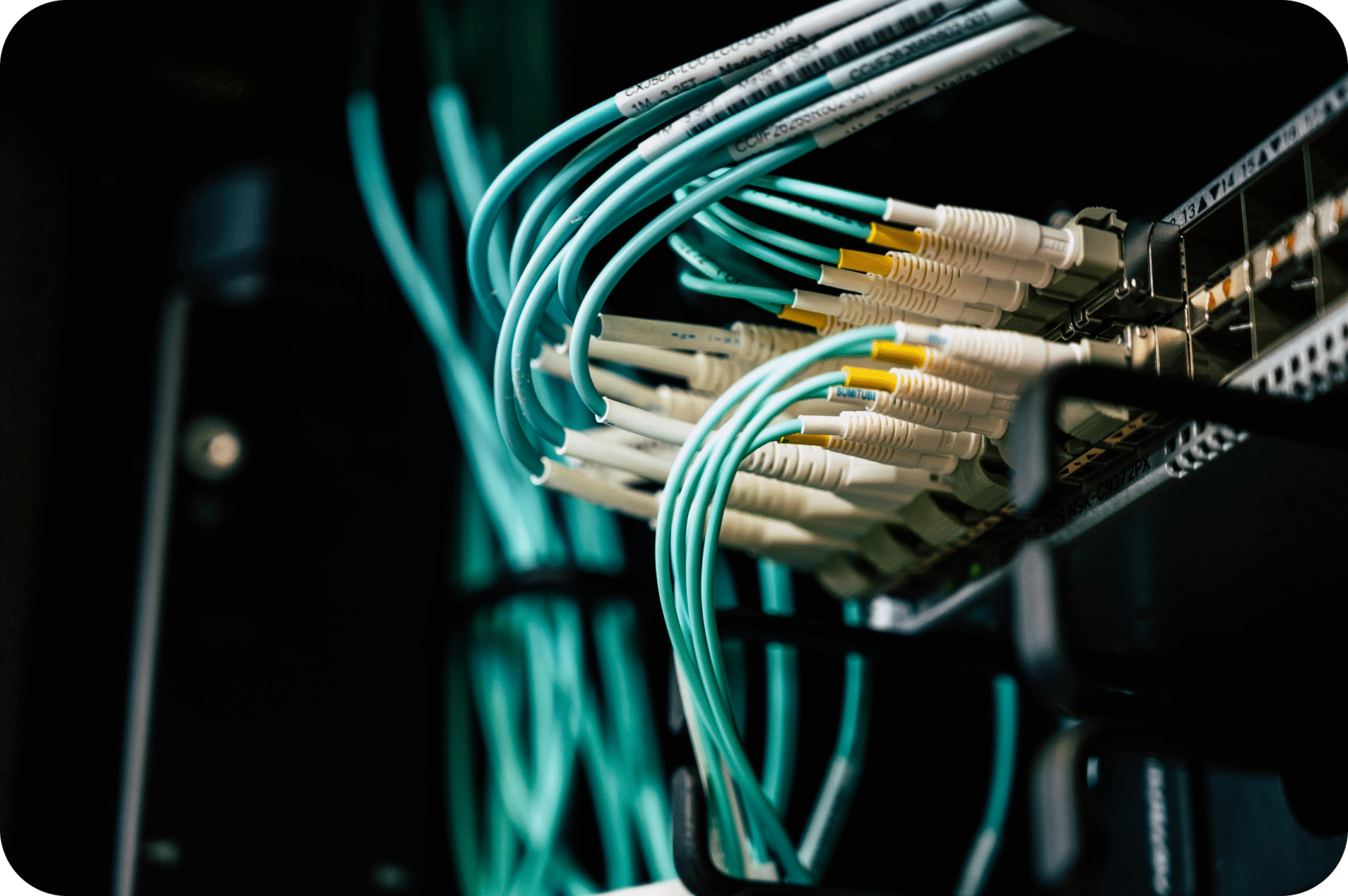 Teal fiber optic cables connected to a network patch panel